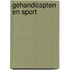 Gehandicapten en sport