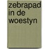 Zebrapad in de woestyn