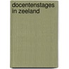 Docentenstages in zeeland by Frietman