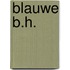 Blauwe b.h.