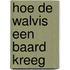 Hoe de walvis een baard kreeg