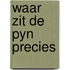 Waar zit de pyn precies