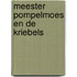Meester pompelmoes en de kriebels