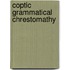 Coptic grammatical chrestomathy