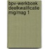 BPV-werkboek deelkwalificatie MIG/MAG 1