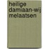 heilige damiaan-wij melaatsen