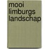 Mooi Limburgs Landschap