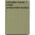 Salzgitter Heute 1 vmbo Antwoordenboekje