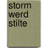 Storm werd stilte