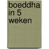 Boeddha in 5 weken