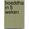 Boeddha in 5 weken by Giulio Cesare Giacobbe
