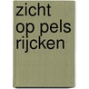 Zicht op Pels Rijcken door Onbekend