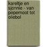 Kareltje en Sjonnie - Van pepernoot tot oliebol