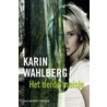 Het derde meisje by Karin Wahlberg