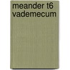 Meander T6 Vademecum door Onbekend