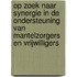Op zoek naar synergie in de ondersteuning van mantelzorgers en vrijwilligers