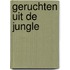Geruchten uit de jungle