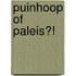 Puinhoop of Paleis?!