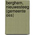Berghem, Nieuwesteeg (gemeente Oss)