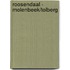 Roosendaal - Molenbeek/Tolberg