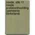 Neede, SBB 11 Neede Profielonthoofding (gemeente Berkelland)