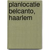 Planlocatie Belcanto, Haarlem door R.M. van der Zee