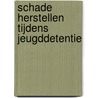 Schade herstellen tijdens jeugddetentie door M. Vandenbroucke