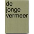 De jonge Vermeer