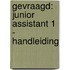 Gevraagd: Junior Assistant 1 - handleiding