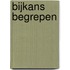 Bijkans begrepen