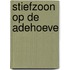 Stiefzoon op de Adehoeve