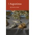 Augustinus zijn mooiste citaten