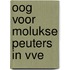 Oog voor Molukse peuters in vve