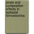 Strain and composition effects in epitaxial ferroelectrics