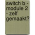 Switch B - module 2 - zelf gemaakt?