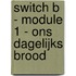 Switch B - module 1 - ons dagelijks brood