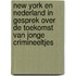 New York en Nederland in gesprek over de toekomst van jonge crimineeltjes