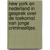New York en Nederland in gesprek over de toekomst van jonge crimineeltjes by P.H. Peeters