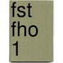 FST FHO 1