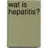Wat is hepatitis?