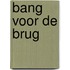 Bang voor de brug