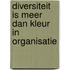 Diversiteit is meer dan kleur in organisatie