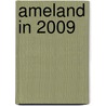 Ameland in 2009 by J.F. de Jong