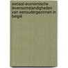 Sociaal-economische levensomstandigheden van eenoudergezinnen in België by V. De Maesschalck