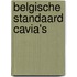 Belgische standaard cavia's