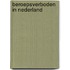Beroepsverboden in Nederland