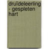 Druïdeleerling - Gespleten hart door B. Boeckmans