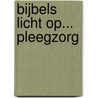 Bijbels licht op... pleegzorg door Div Auteurs Nvt