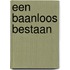 Een baanloos bestaan
