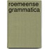 Roemeense grammatica